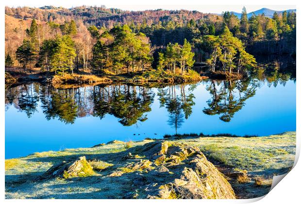 Stunning Tarn Hows: Lake District Landscape Print by Tim Hill