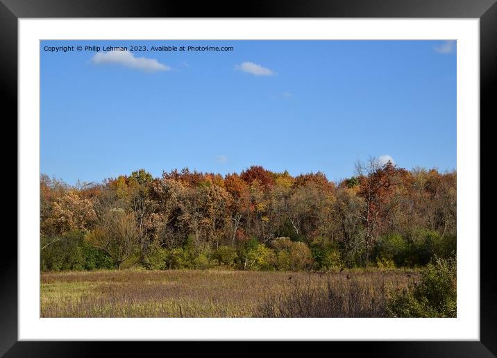 Fall Colors Hiking Trail 27A Framed Mounted Print by Philip Lehman