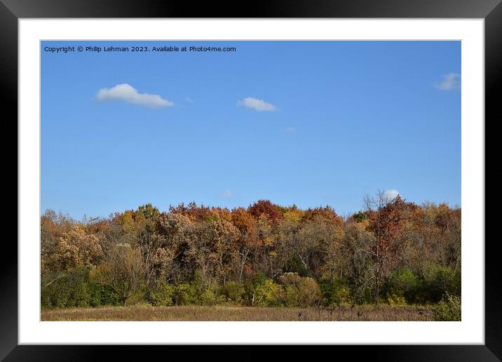 Fall Colors Hiking Trail 28A Framed Mounted Print by Philip Lehman