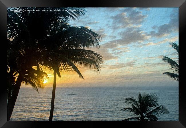 TROPICAL SUNRISE Framed Print by CATSPAWS 