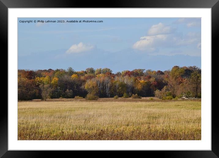 Fall Colors Hiking Trail 31A Framed Mounted Print by Philip Lehman