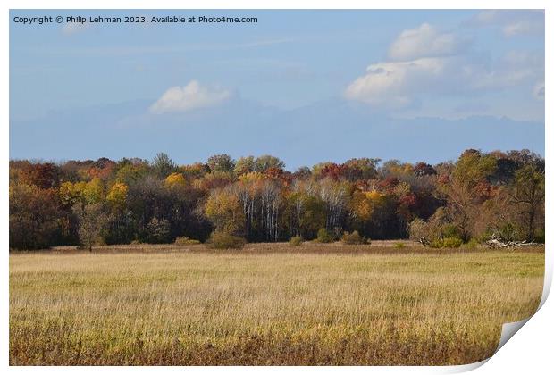 Fall Colors Hiking Trail 31A Print by Philip Lehman