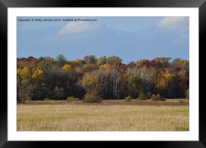 Fall Colors Hiking Trail 34A Framed Mounted Print by Philip Lehman