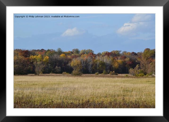 Fall Colors Hiking Trail 37A Framed Mounted Print by Philip Lehman