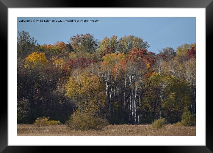 Fall Colors Hiking Trail 36A Framed Mounted Print by Philip Lehman