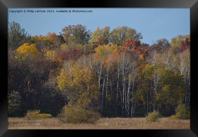 Fall Colors Hiking Trail 36A Framed Print by Philip Lehman