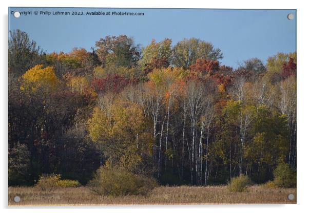 Fall Colors Hiking Trail 36A Acrylic by Philip Lehman