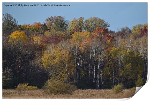 Fall Colors Hiking Trail 36A Print by Philip Lehman