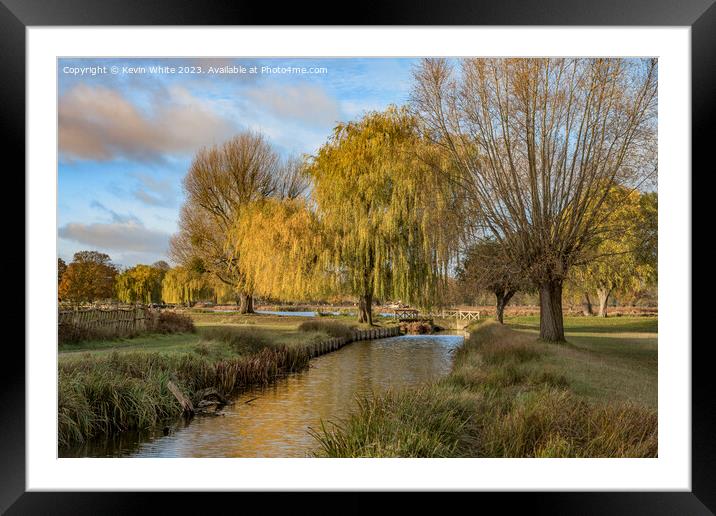 Autumn dappled blue sunny sky at Bushy Park Surrey Framed Mounted Print by Kevin White