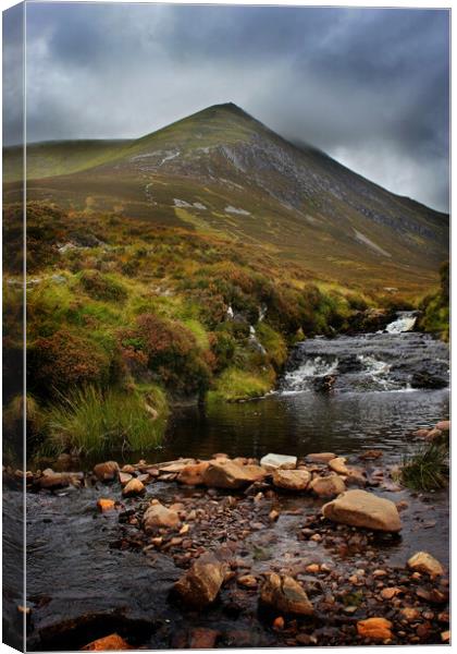 Ben Wyvis Canvas Print by Macrae Images