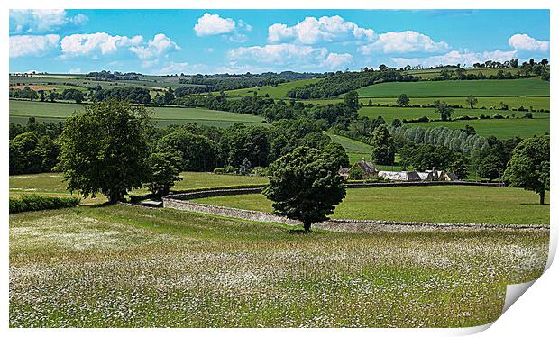 Cotswolds countryside Print by Kevin Britland