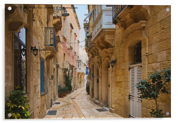 Auberge d'Auvergne et Provence, Birgu, Malta Acrylic by Jim Jones