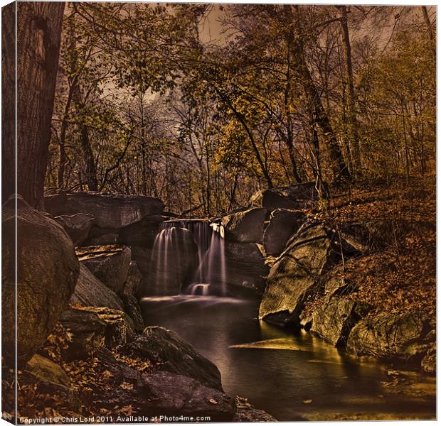 Autumn At The Waterfall In the Ravine Canvas Print by Chris Lord