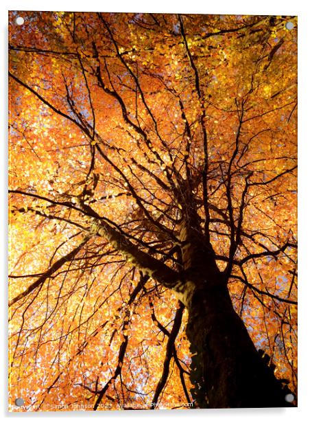 Autumn tree Acrylic by Simon Johnson