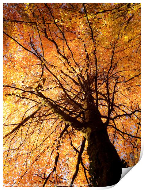 Autumn tree Print by Simon Johnson