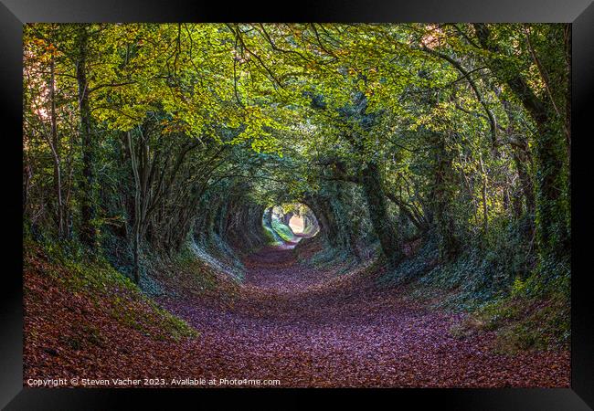 Autumn at Halnaker Tunnel Framed Print by Steven Vacher