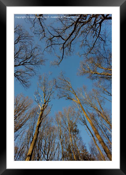 Winter Trees Framed Mounted Print by Andy Salter