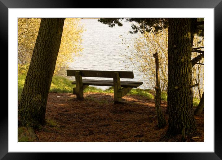 Sunset by the Lake Framed Mounted Print by Glen Allen