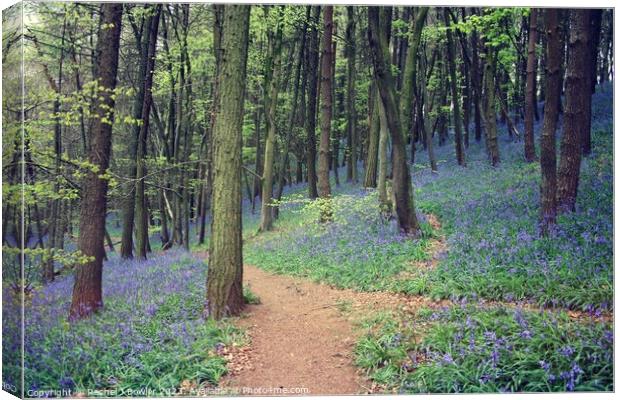 Bluebell Wood Canvas Print by RJ Bowler