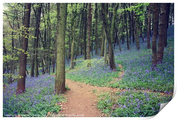 Bluebell Wood Print by RJ Bowler