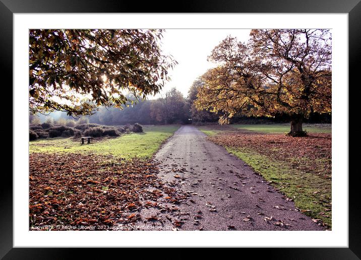 Autumn at Sutton Park Framed Mounted Print by RJ Bowler