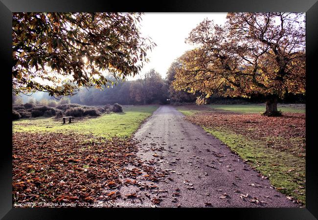 Autumn at Sutton Park Framed Print by RJ Bowler