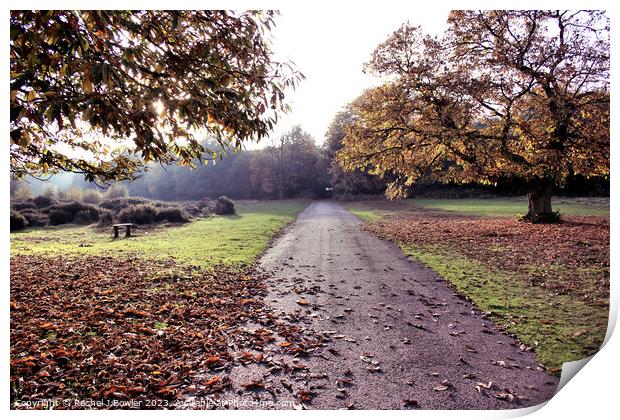 Autumn at Sutton Park Print by RJ Bowler