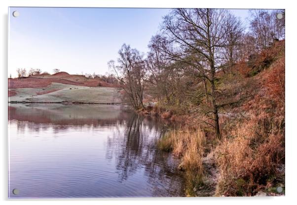 Tarns Hows Lake District Acrylic by Steve Smith