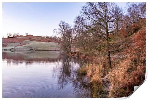 Tarns Hows Lake District Print by Steve Smith