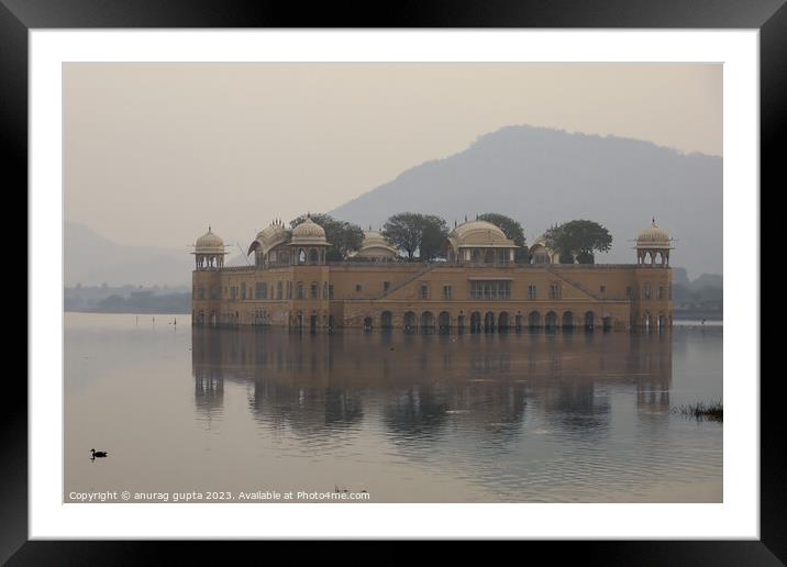 Jal Mahal (water palace) Framed Mounted Print by anurag gupta