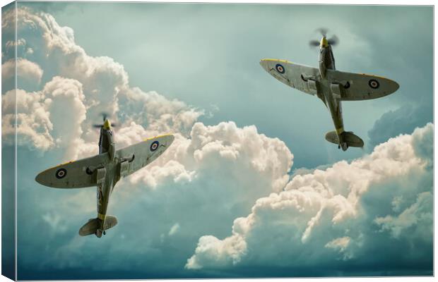 Graceful Spitfires Canvas Print by Alison Chambers