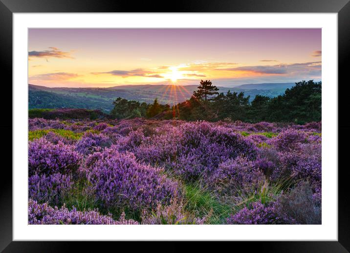 Ilkley Moor Sunset Framed Mounted Print by Alison Chambers