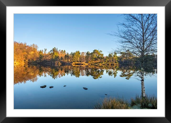 Tarns Hows Framed Mounted Print by Steve Smith