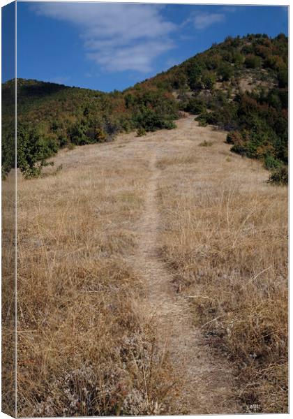 Hiking trails in the hills surrounding Matka Canyon Canvas Print by Lensw0rld 