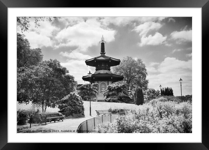 Battersea Park Peace Pagoda Framed Mounted Print by Chris Harris