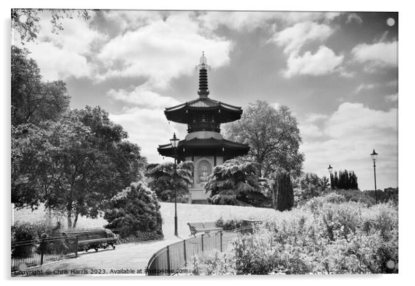 Battersea Park Peace Pagoda Acrylic by Chris Harris