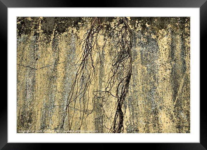 The Wall With Dead Branch Framed Mounted Print by Kevin Plunkett