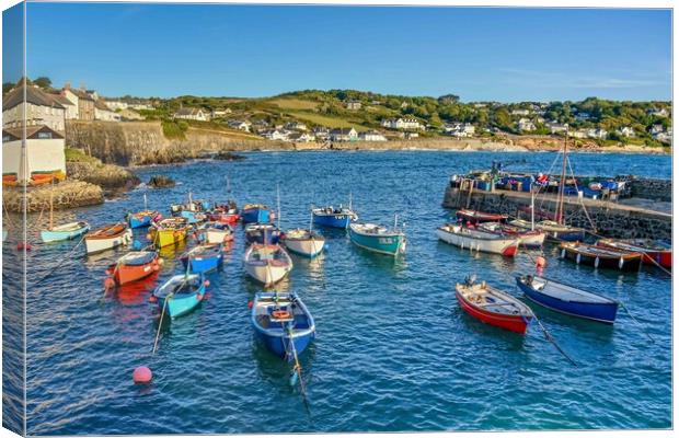 Coverack harbour on a summer morning  Canvas Print by Shaun Jacobs