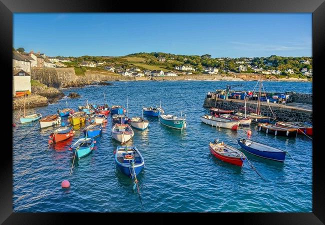 Coverack harbour on a summer morning  Framed Print by Shaun Jacobs