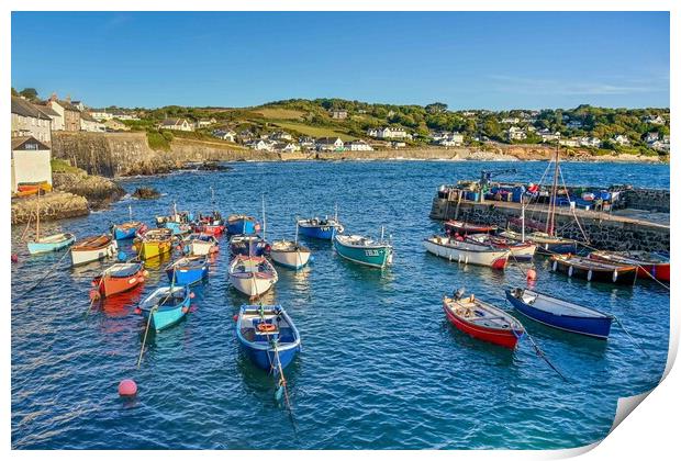 Coverack harbour on a summer morning  Print by Shaun Jacobs