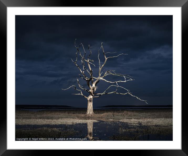 Lone Tree, Porlock Marsh Framed Mounted Print by Nigel Wilkins