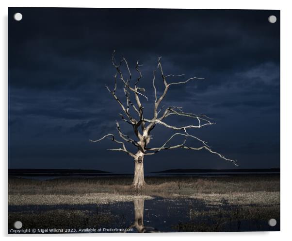 Lone Tree, Porlock Marsh Acrylic by Nigel Wilkins