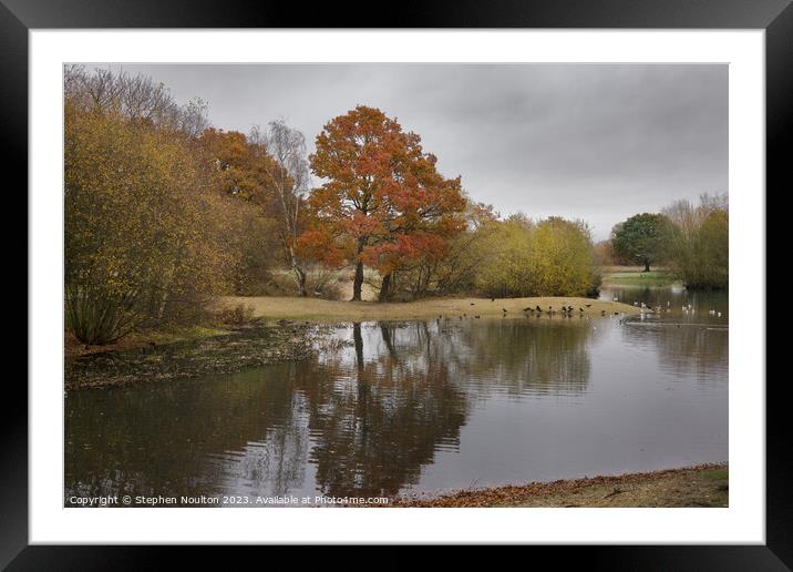 Autumn Colours - Mitcham Common Framed Mounted Print by Stephen Noulton