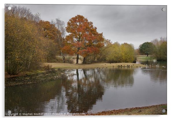Autumn Colours - Mitcham Common Acrylic by Stephen Noulton