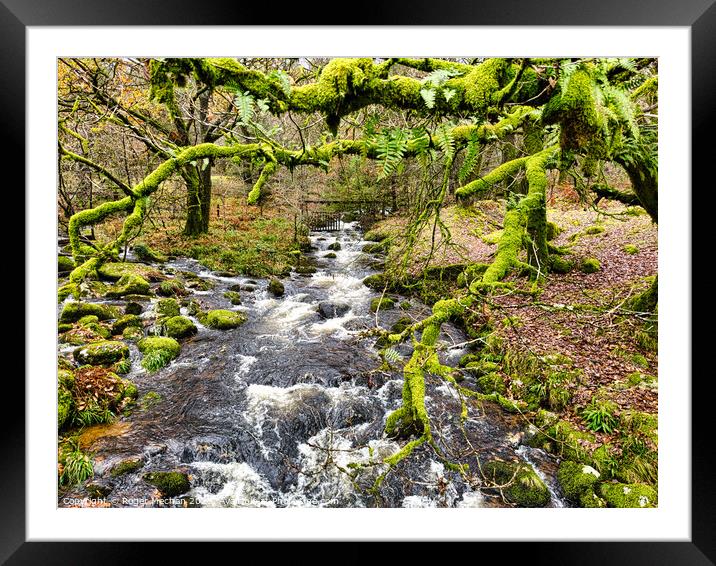 Dartmoor river and moss covered trees Framed Mounted Print by Roger Mechan