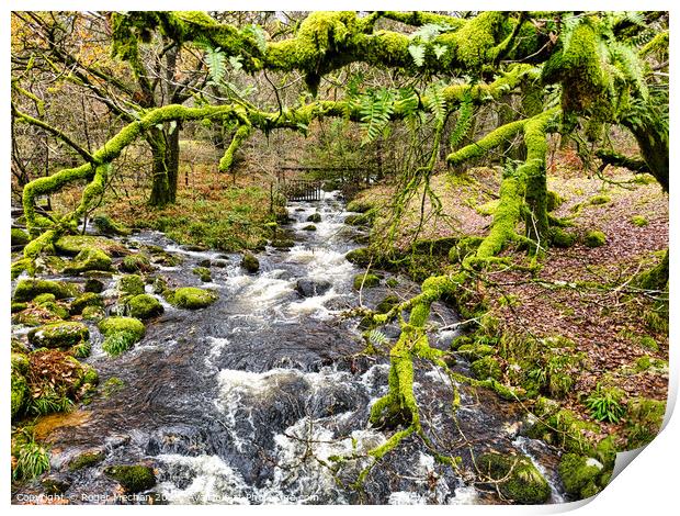 Dartmoor river and moss covered trees Print by Roger Mechan