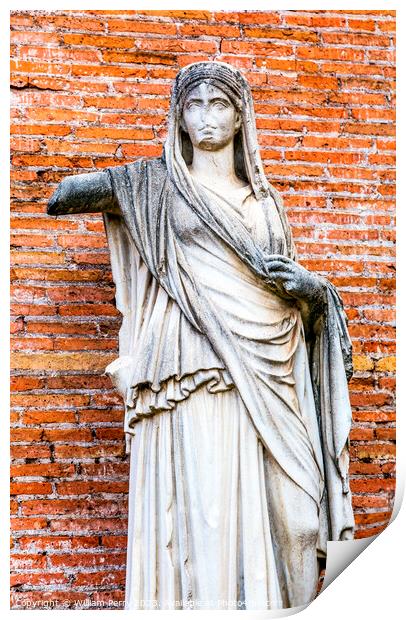 Vestal Virgin Temple Antonius Faustina Roman Forum Rome Italy  Print by William Perry