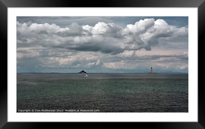 Serene Seascape on Moray Firth Framed Mounted Print by Tom McPherson