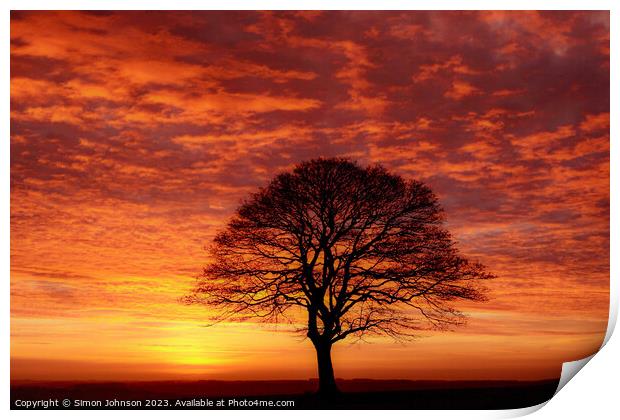 Tree silhouette at sunrise  Print by Simon Johnson