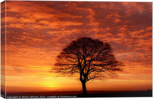 Tree silhouette at sunrise  Canvas Print by Simon Johnson
